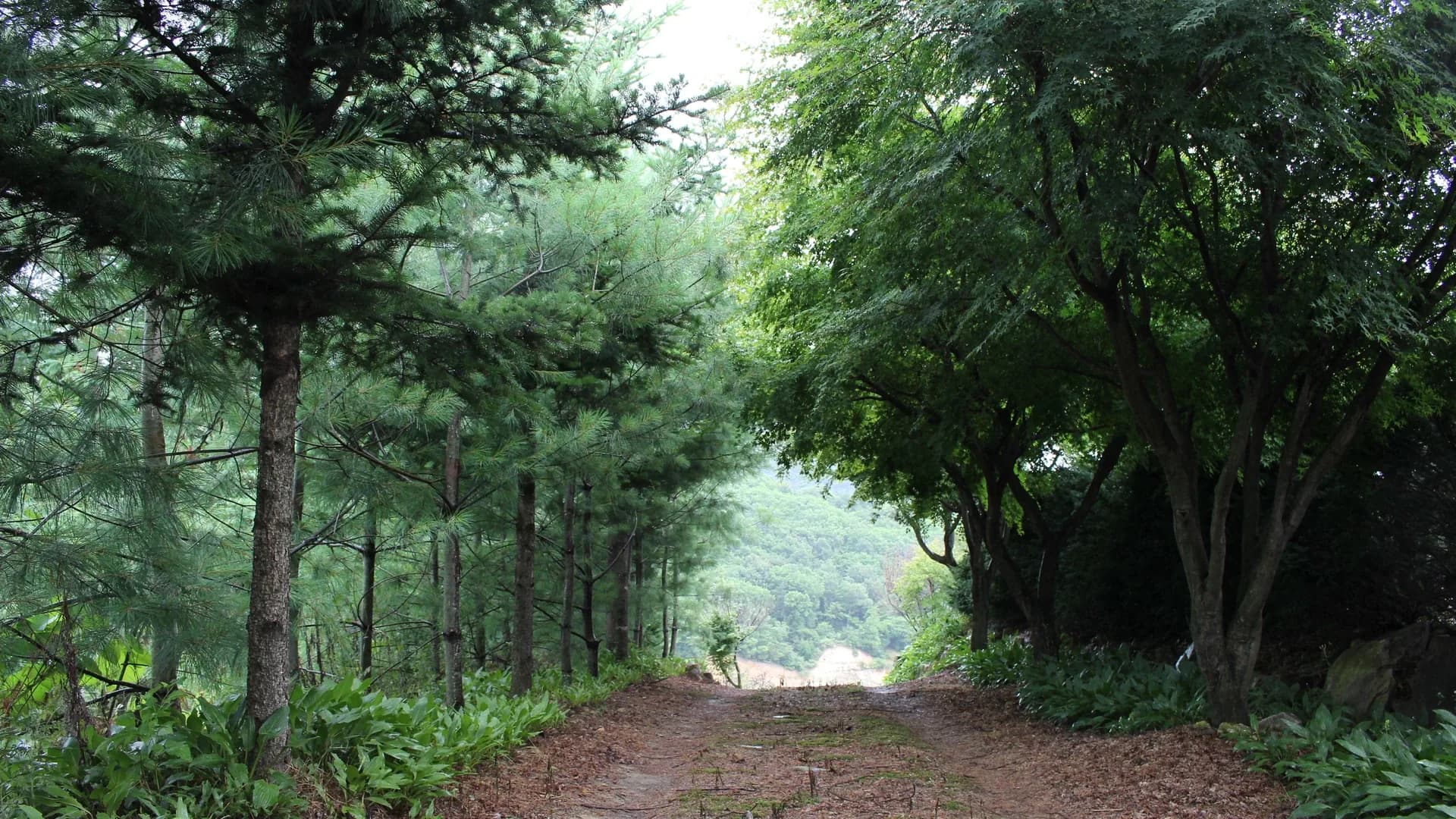 관람 및 이벤트 예약